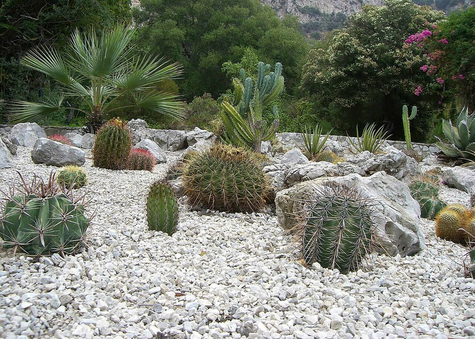 Alameda Botanical Gardens (Gibraltar Botanic Gardens)